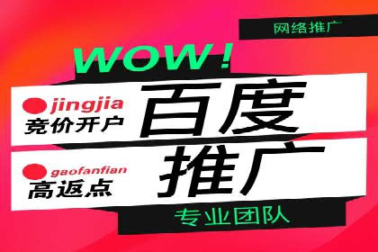 某公司sem竞价推广托管案例详解
