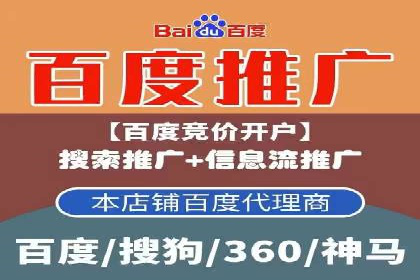 某公司信息流广告的精准投放与效果评估